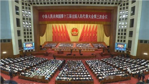2020政府工作報(bào)告，向?qū)嶒?yàn)室人傳遞了哪些重要信息?